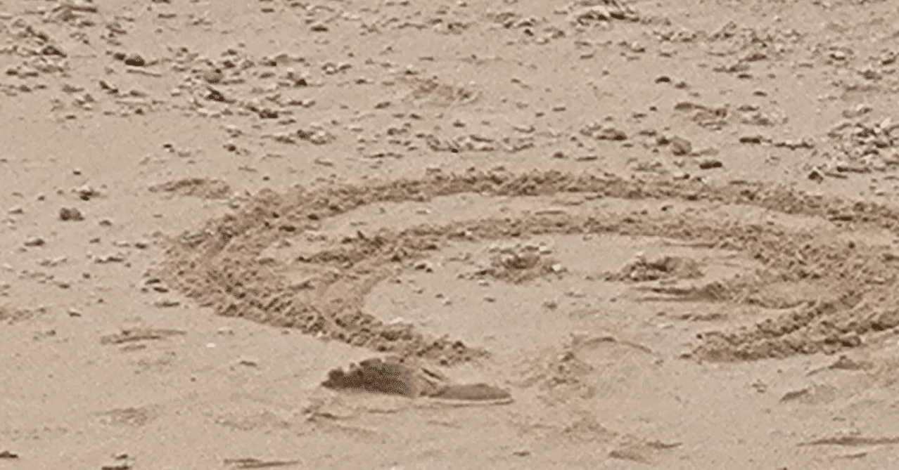 ジェフ・ベックのギターがオークションに｜namremmiznellatrebor