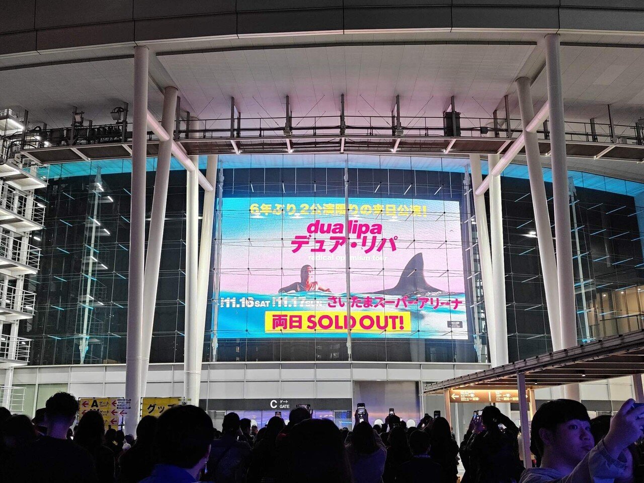 音楽 DUA LIPA RADICAL OPTIMISM TOUR 2024|ち 音楽 DUA LIPA RADICAL OPTIMISM TOUR 2024|ち