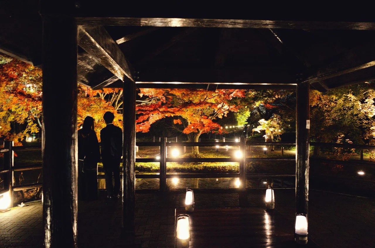 京都に来ています 目的は貴船神社の紅葉 明日は朝一で向かいます 今夜はちょこっと紅葉のライトアップを見てきました 夜の独特の雰囲気も好き だけど やっぱり鮮やかな色が映える昼の紅葉の方が好きだなぁ 明日は なな Note