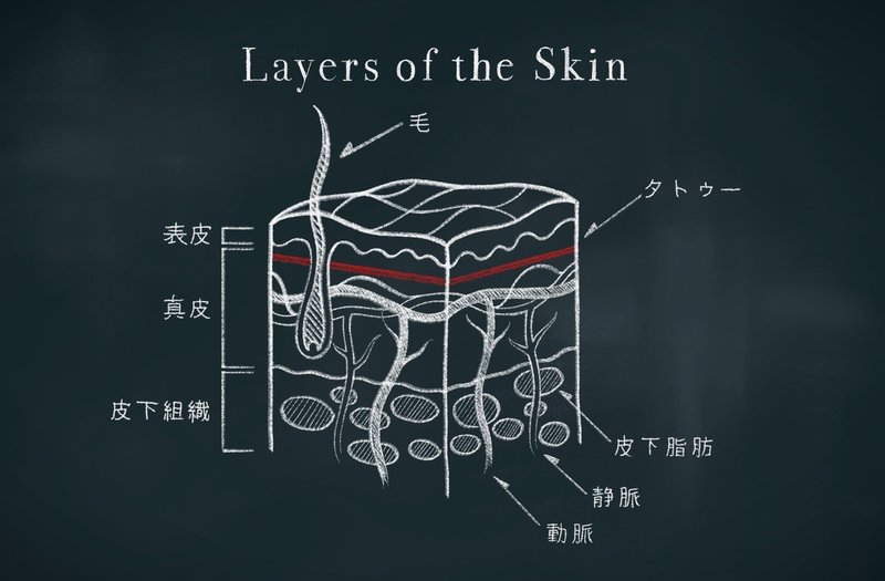 タトゥーのアフターケアは必要なのか せいご Tattooist Note タトゥーのアフターケアは必要なのか せいご Tattooist Note