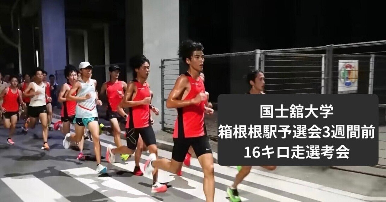 専用 国士舘大学 箱根駅伝 襷 荒っぽく