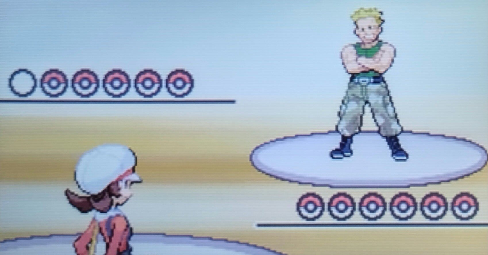 Meetページ HG、SSケースなし1点ずつ 希望ポケモン追加 Meet様専用ページ HG、SSケースなし1点ずつ 希望ポケモン追加