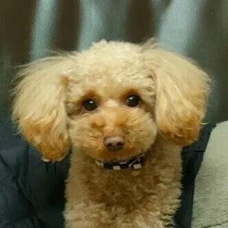 奈能利想