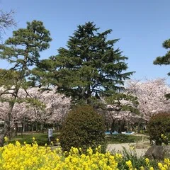 伊勢物語 第十段｜内田美由紀