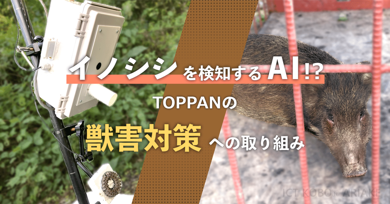 イノシシを検知するAI !? TOPPANの獣害対策への取り組み｜TOPPAN