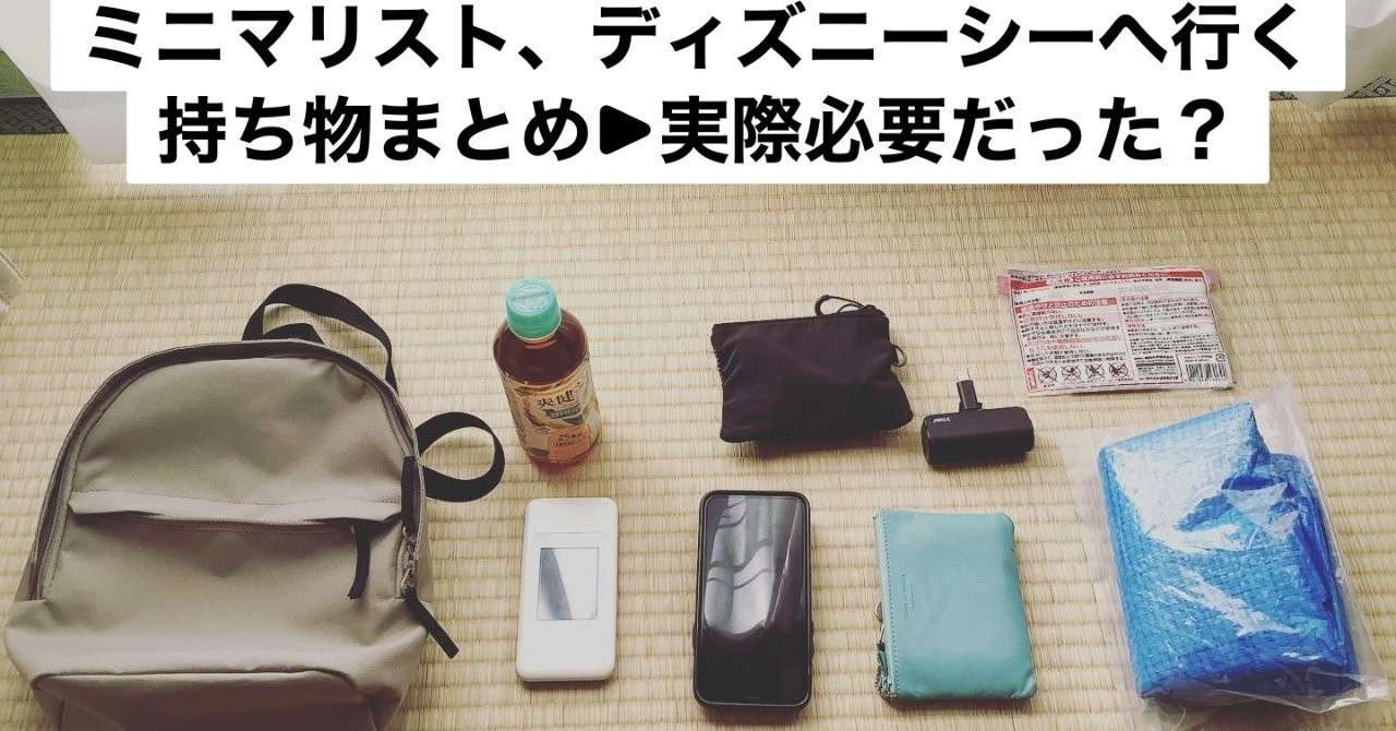 ミニマリスト ディズニーシーへ行く 持ち物まとめ 実際必要だった マナミ メモまとめクリエイター Note