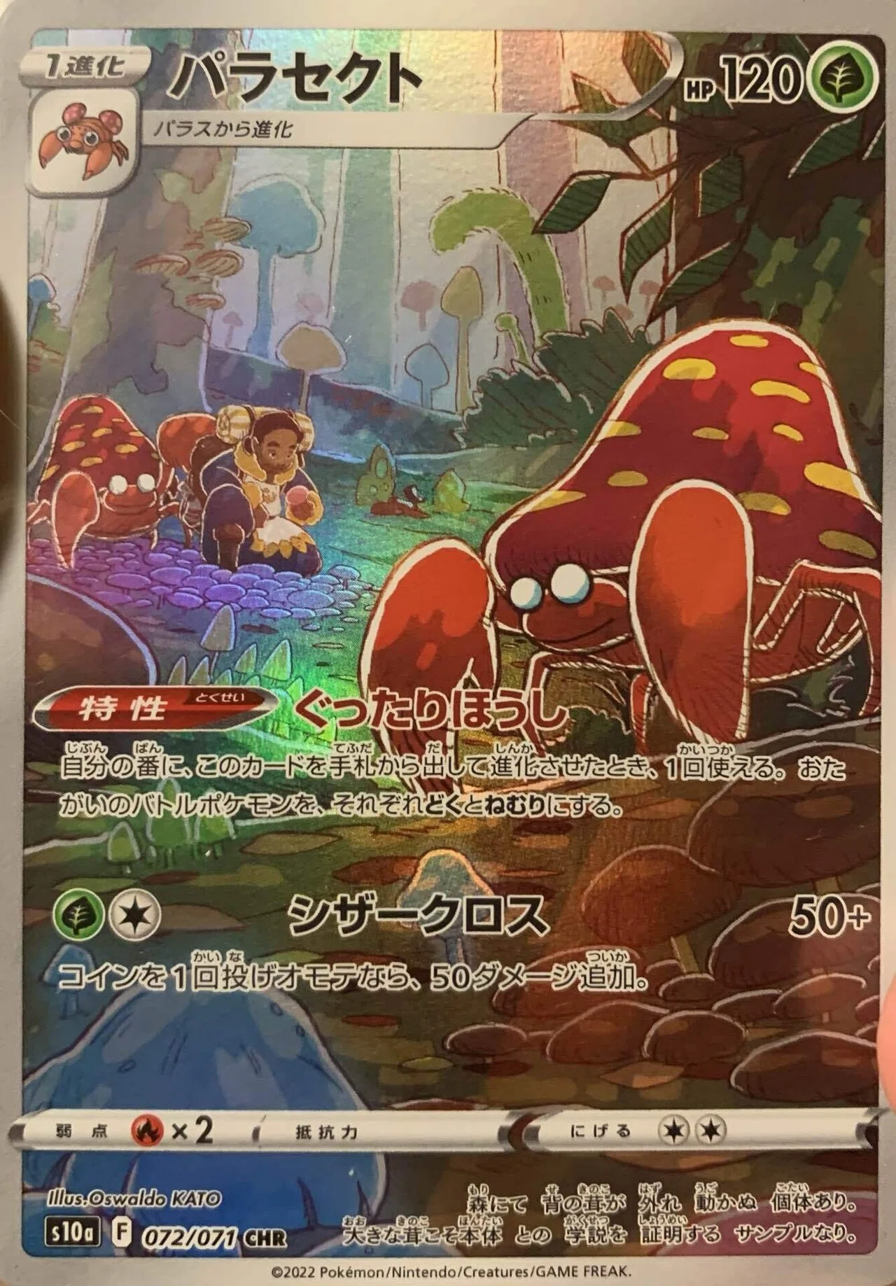 ポケカAR】ポケカコレクション ダークファンタズマ編｜鯖の味噌煮