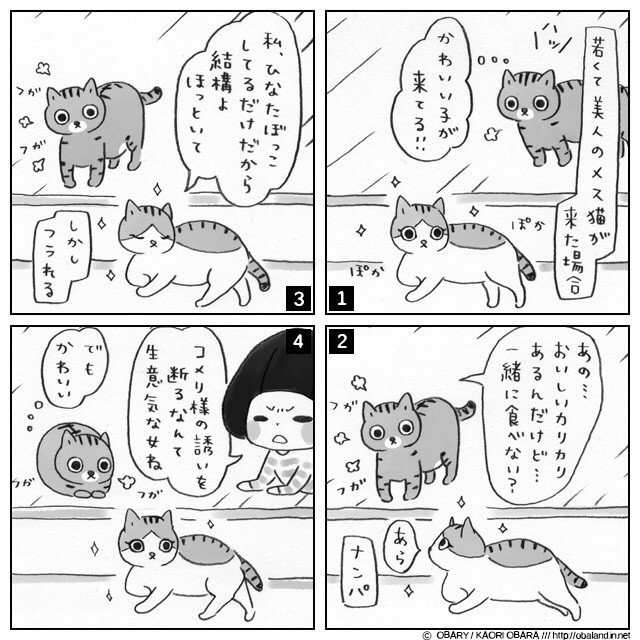 王様ねこ様コメリ様と召使いお姉ちゃんのゆるゆるゆる日記 15 5 6 惑星オバランド Note