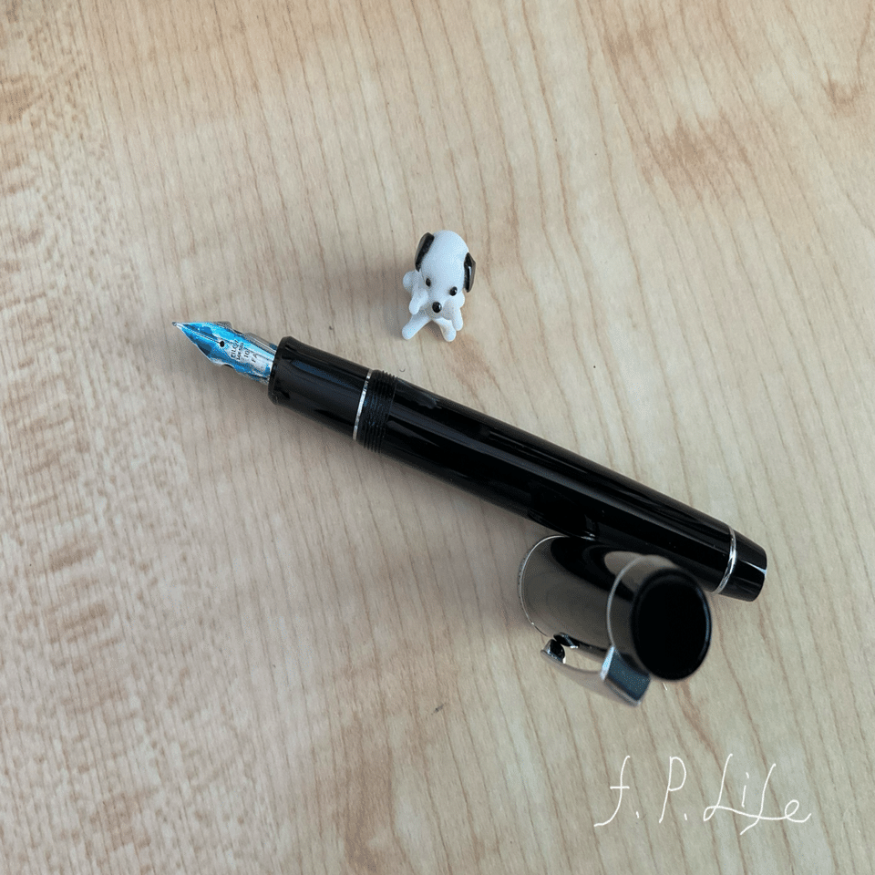 柔らかいペン先が慣れた頃・・・ #56｜りい ~ first-penlife ~