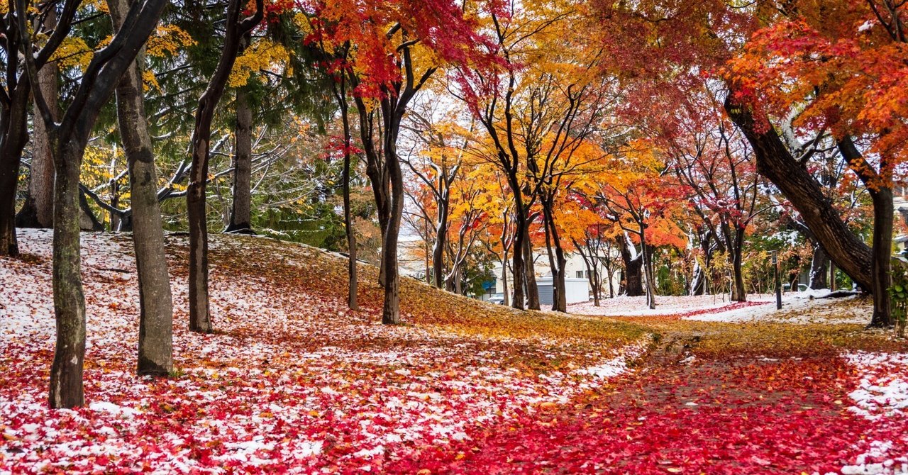 紅葉と雪の長四郎公園を撮らずにいられなかった（OM-D E-M5 MarkⅢ