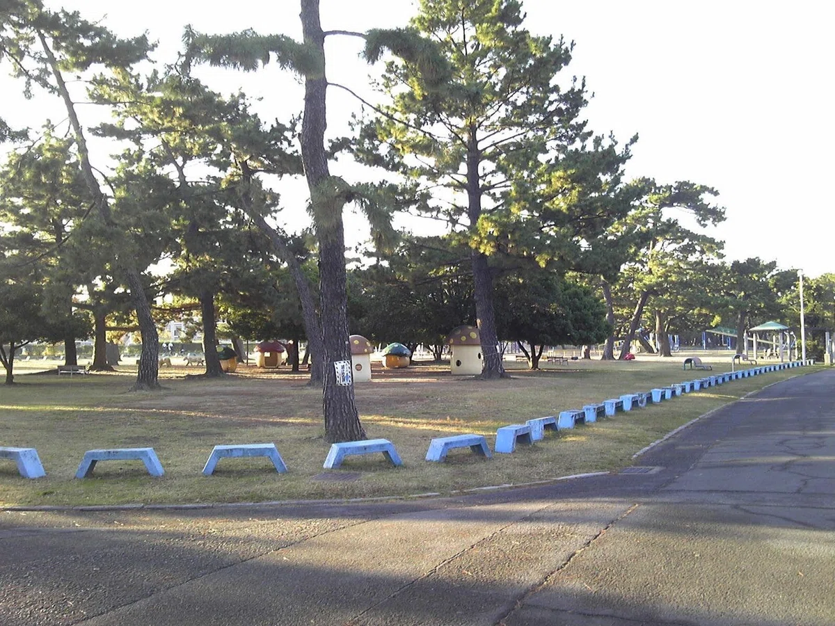 画像1