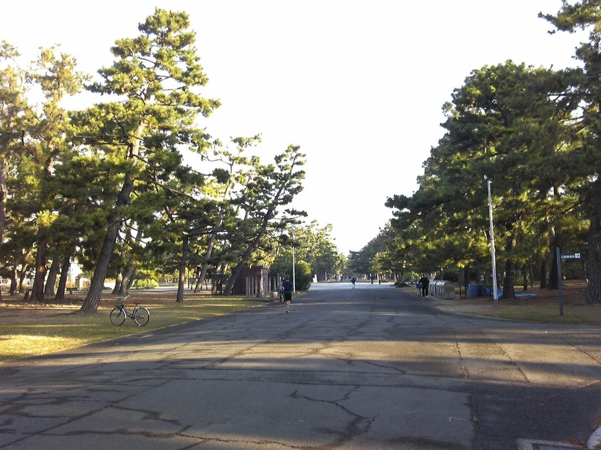 画像2