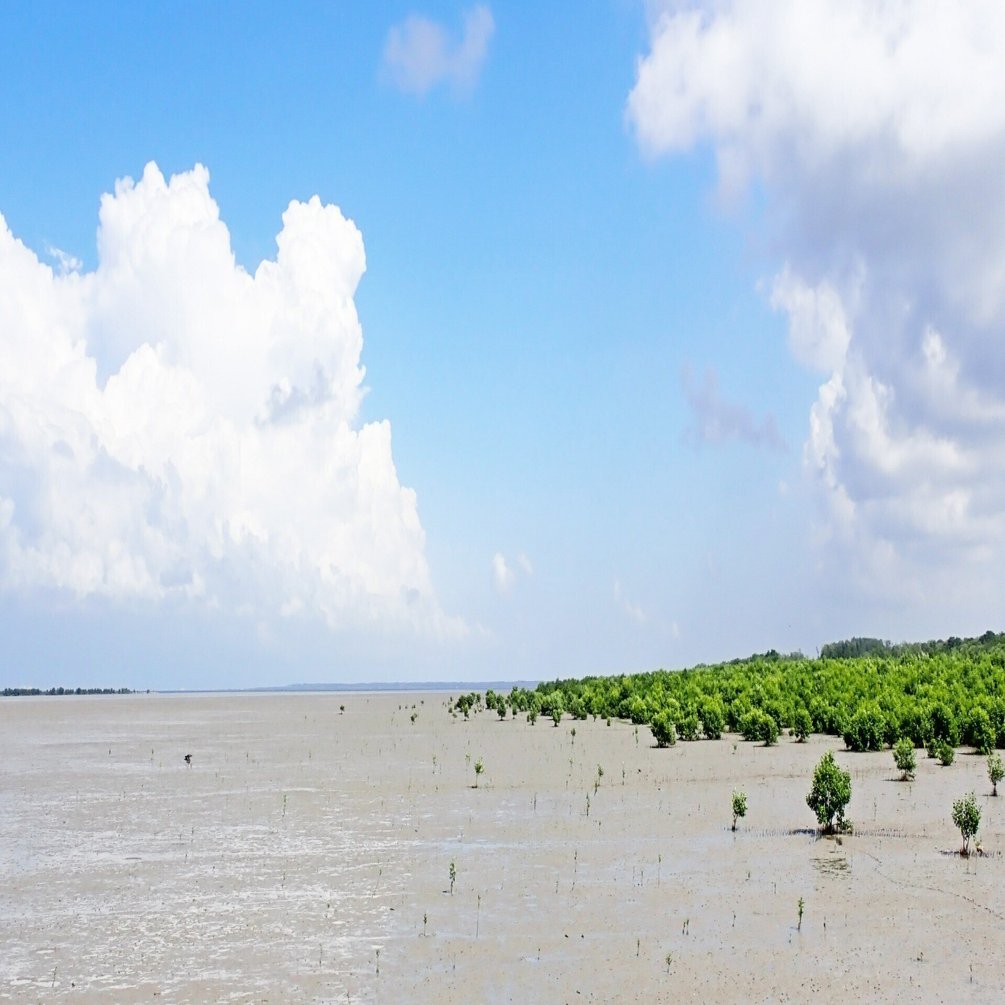 高校数学[60]コインを投げて進む！確率漸化式の問題｜Peter Math