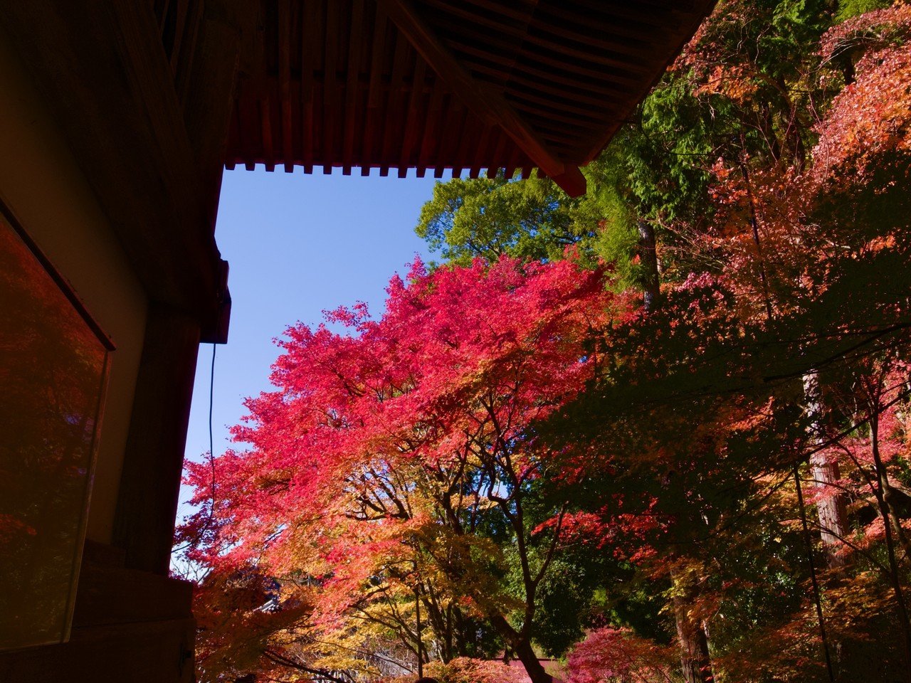 播州清水寺の紅葉を見てきました Donguri Note