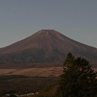 トップに移動