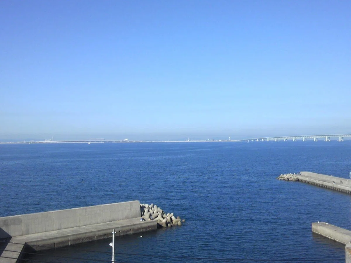 画像29