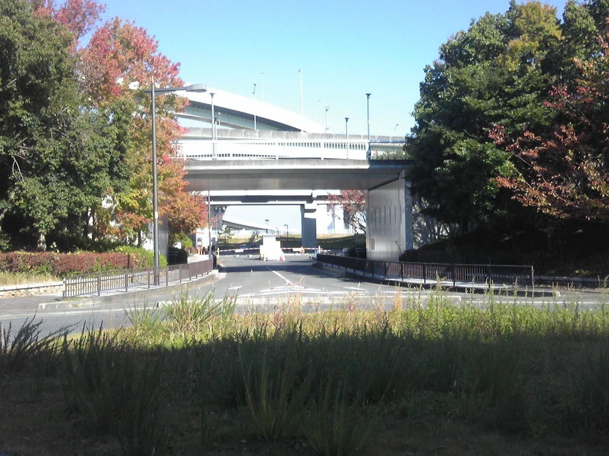 画像42