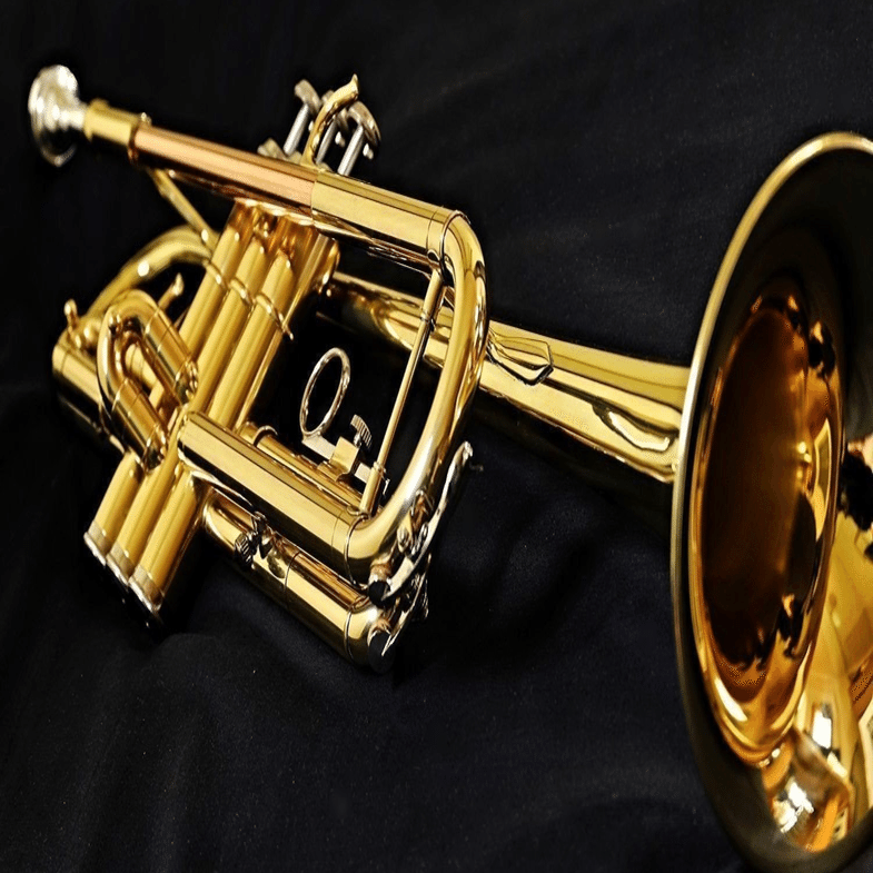 37564 NO TRUMPET｜ホッシー