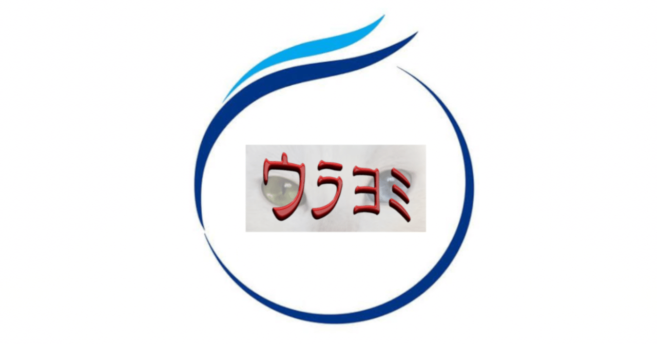 Inauguration de The Team, la première entreprise d'entraînement dédiée au  tourisme - Nouvelles - Site, image size:1280x670