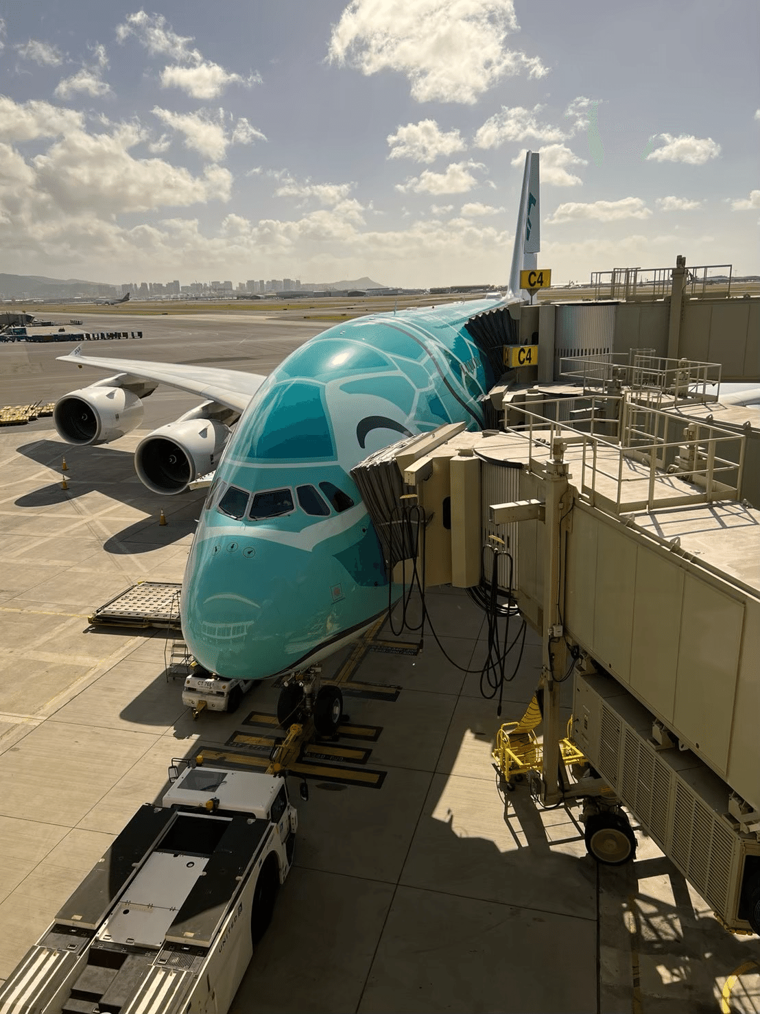 世界一周旅行】 10フライト目✈️ ホノルル→成田／NH183／ANA