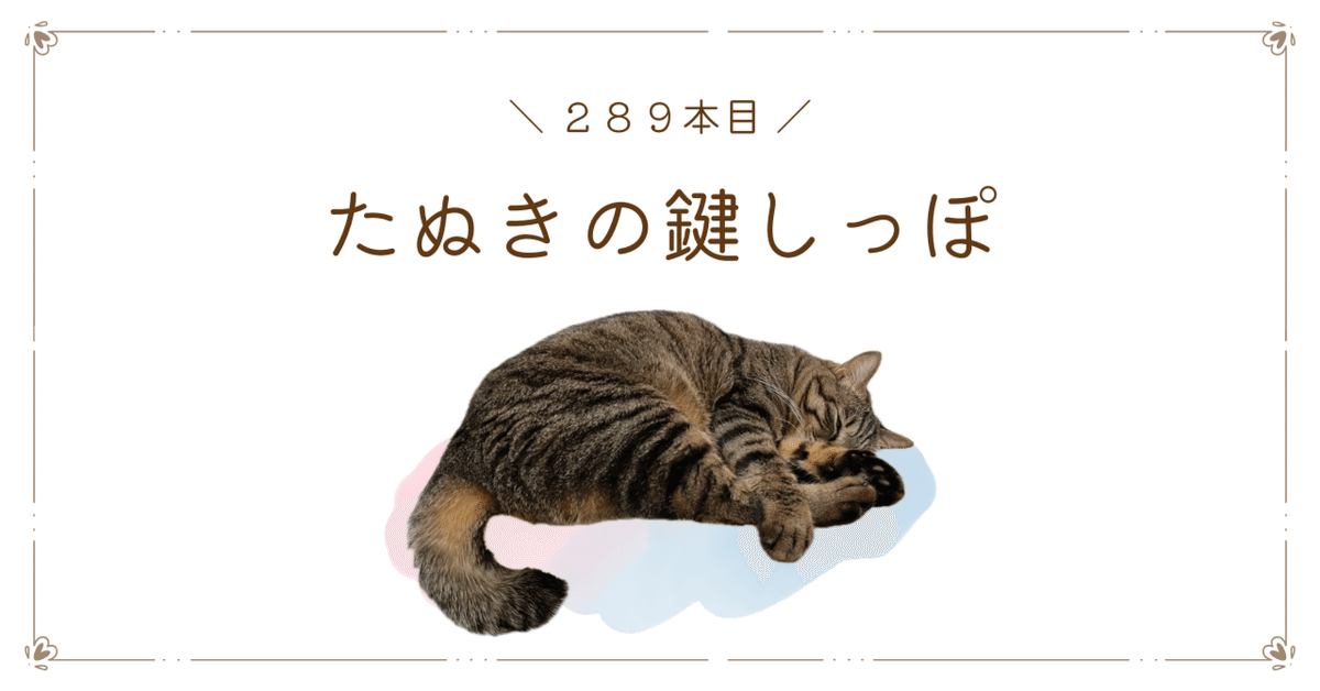 たぬきの鍵しっぽ 289本目｜あずきいろの肉球