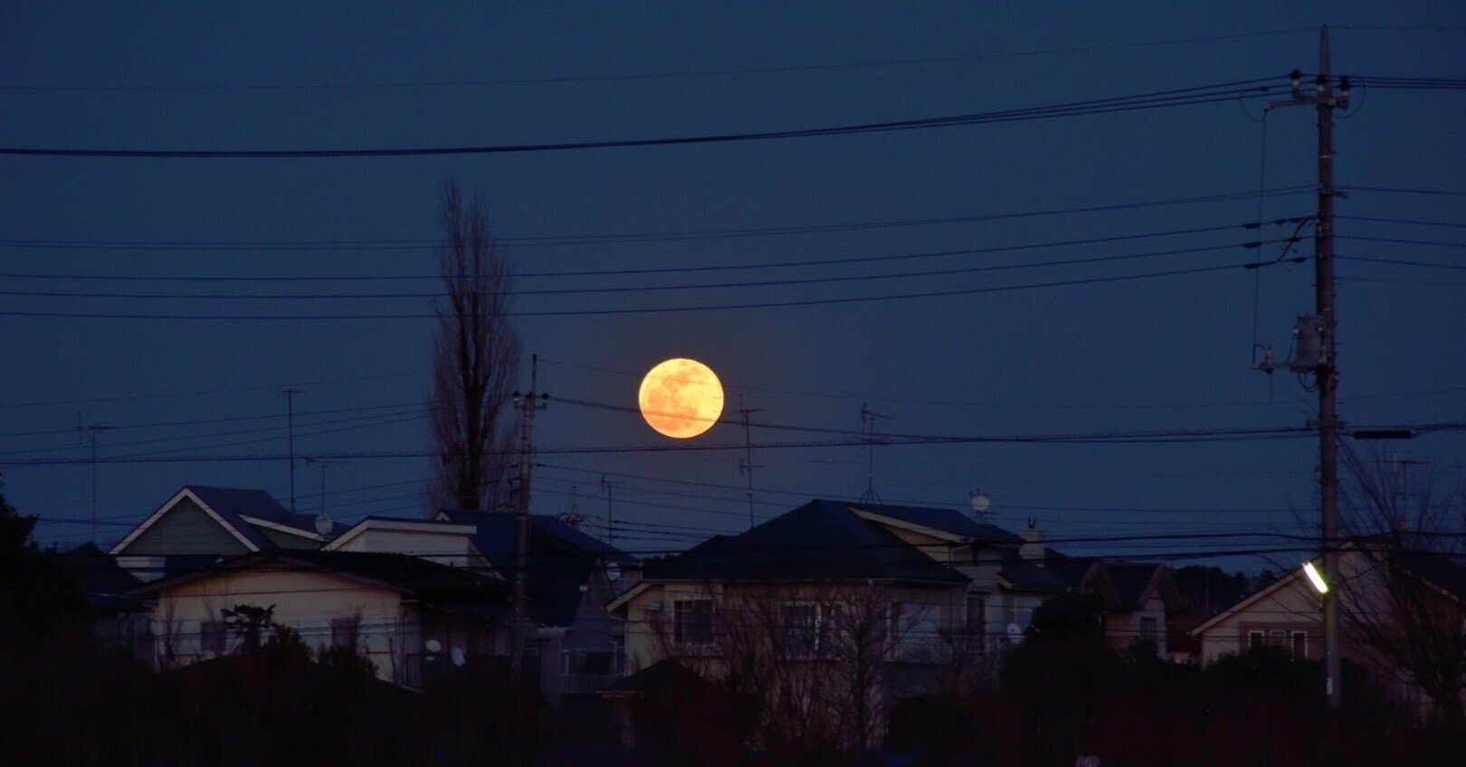 はじめて天体望遠鏡を買ったけど使わなくなった理由とは？｜かるり