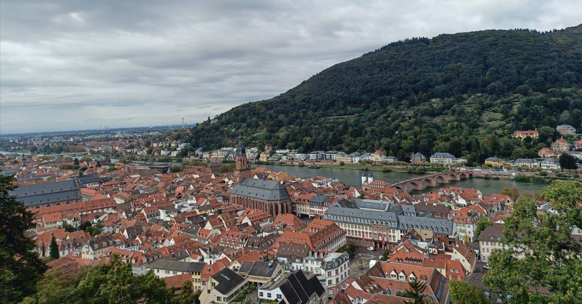 ドイツ】赤い屋根の絶景｜ごん太