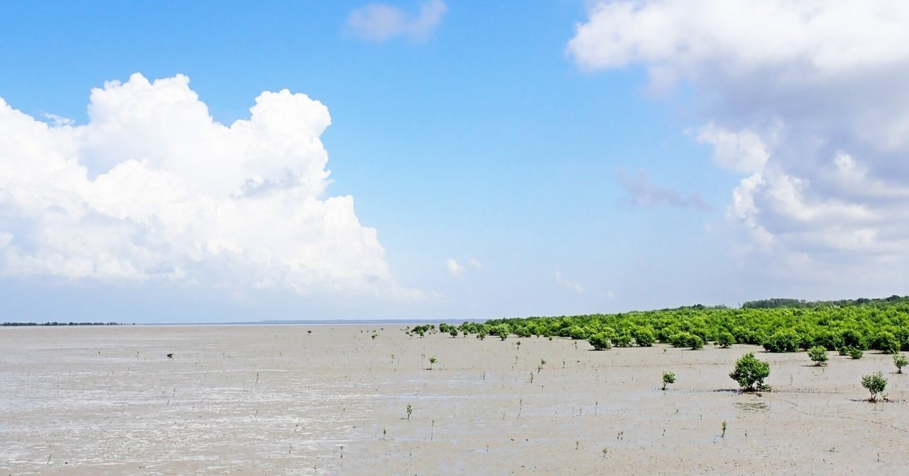 高校数学[85]コインを5回投げて表が連続2回以上出ない確率の問題｜Peter Math