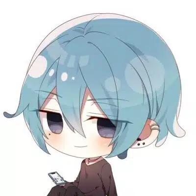 はいどしーく