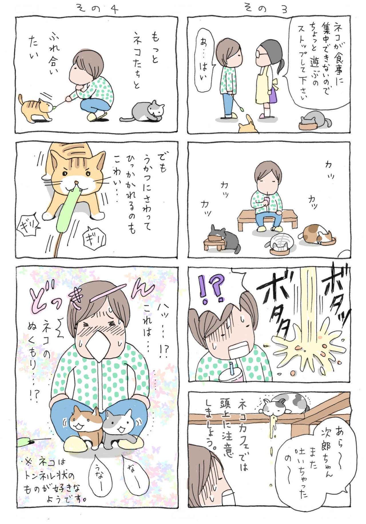 ねこカフェに行ってきた Hassaku Note