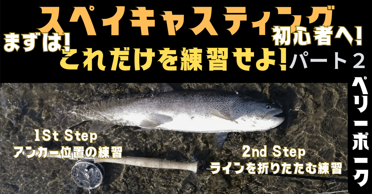 シングルハンドスペイ入門 | PARTNERS | FlyFisher ONLINE