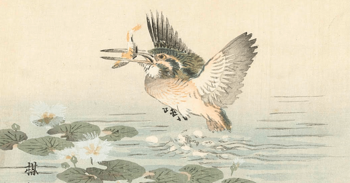 bcb3612d4e813acdbf6b1bcb8682c2