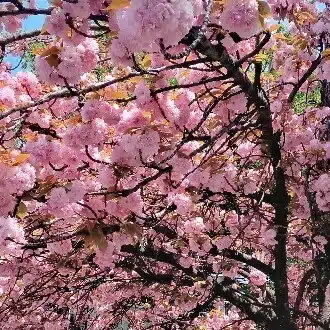 自分育て
