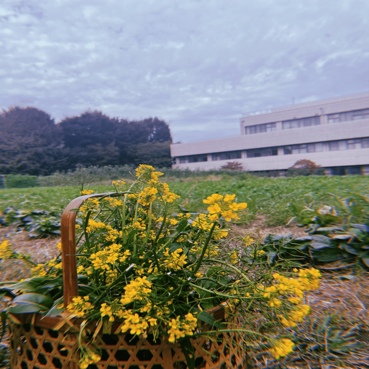 HAPPYでBIG LOVE｜山本 梓