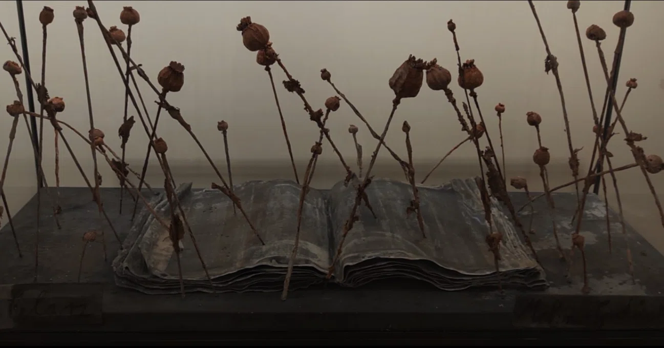 Anselm Kiefer:Opus Magnum について|斉藤有吾 Anselm Kiefer:Opus Magnum について|斉藤有吾