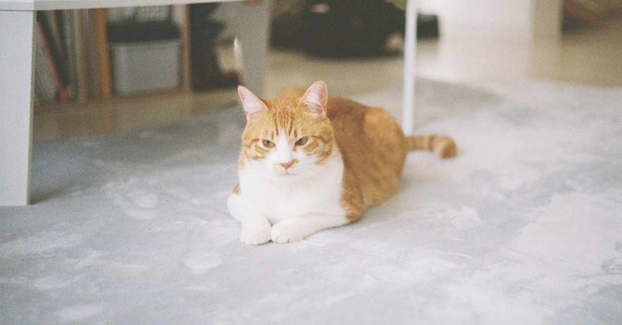 一年前のきょう タチバナ Note