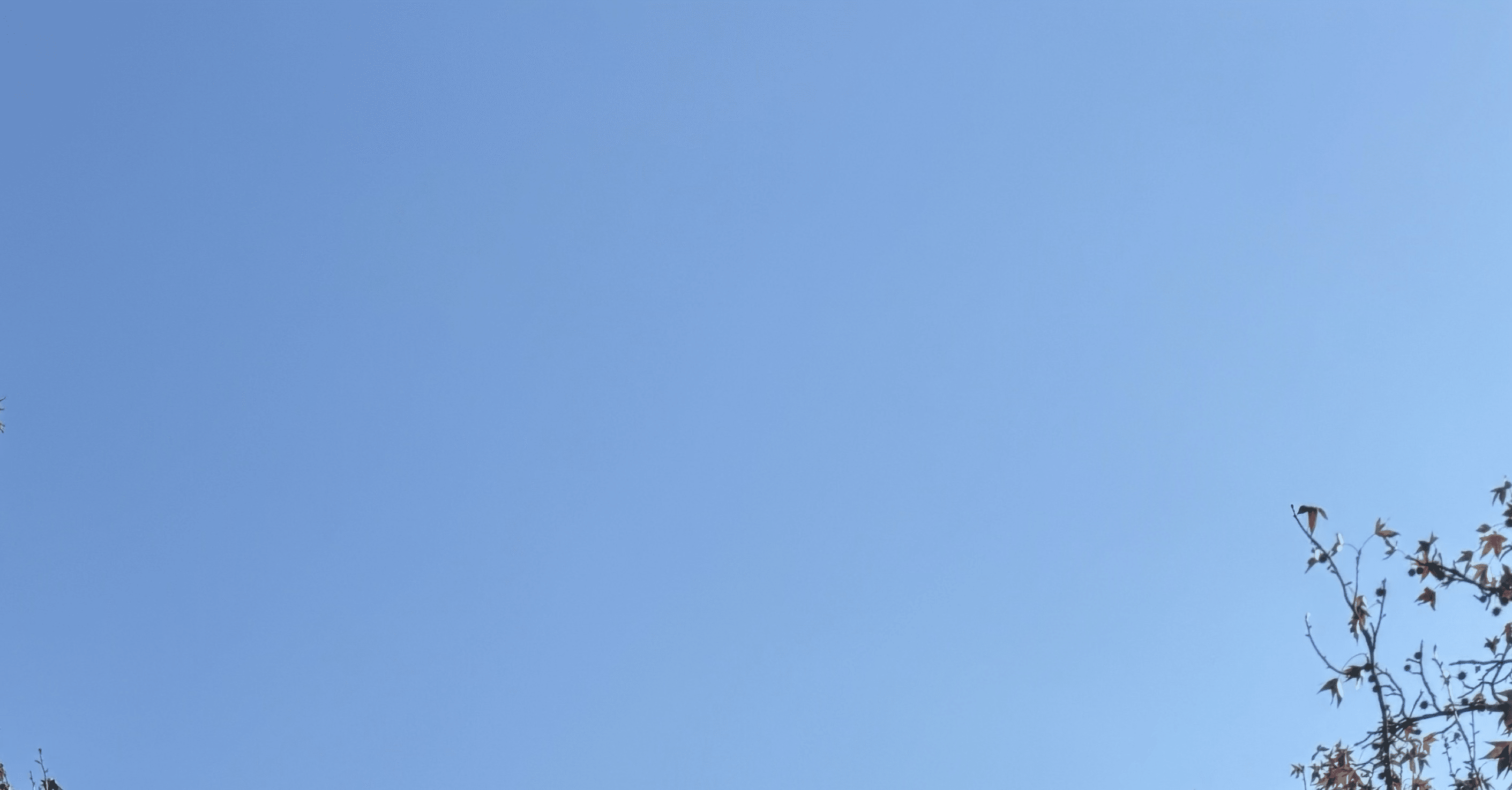 まめ/お仕事のお話し