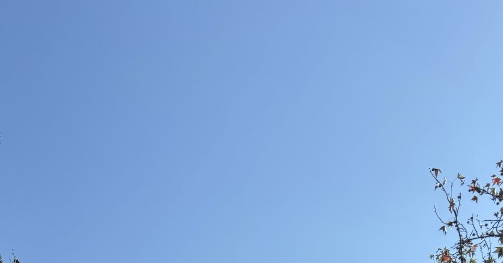 まめ/お仕事のお話し