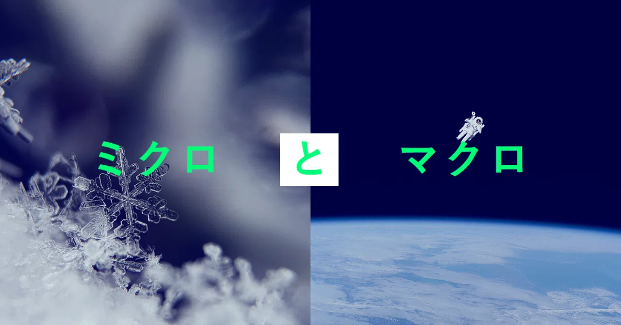 ミクロ と マクロ のお話｜asako | Designer