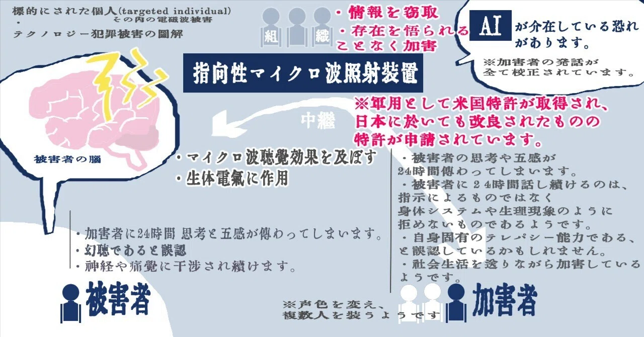 【図解】標的にされた個人(targeted individual)、テクノロジー犯罪被害｜千度谷