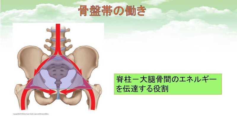 SD療法資料