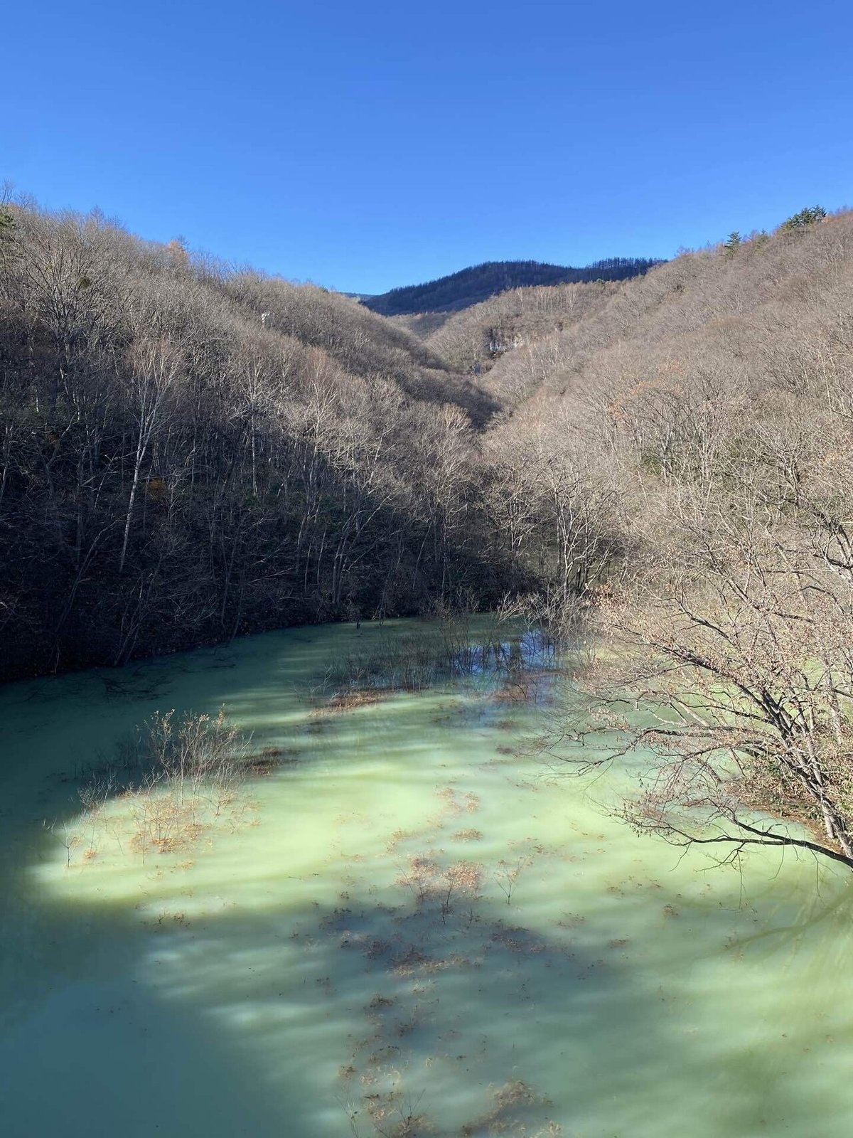 エメラルドグリーンの川面の写真