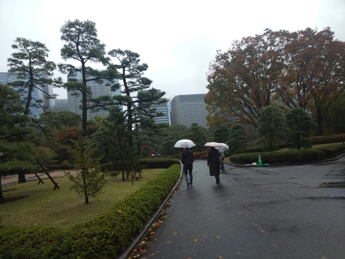 画像6