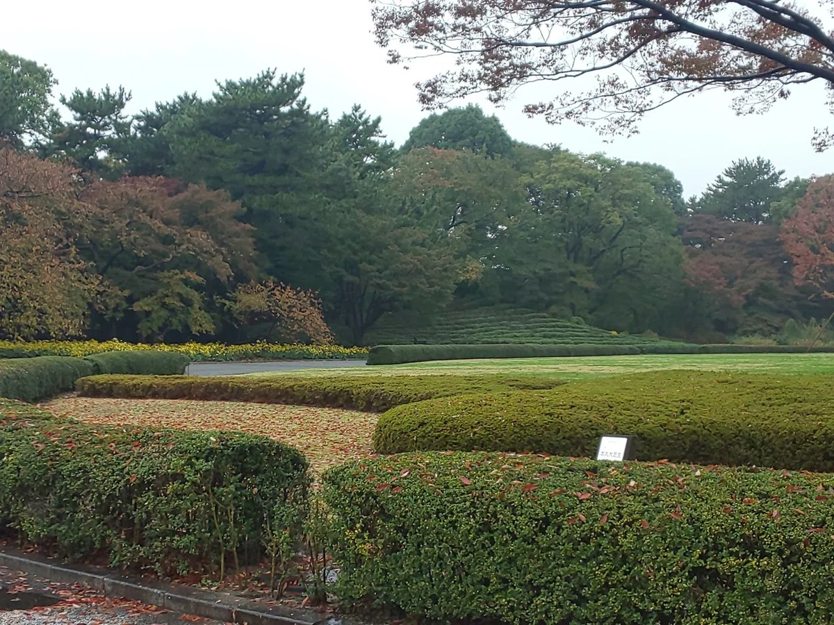 画像10