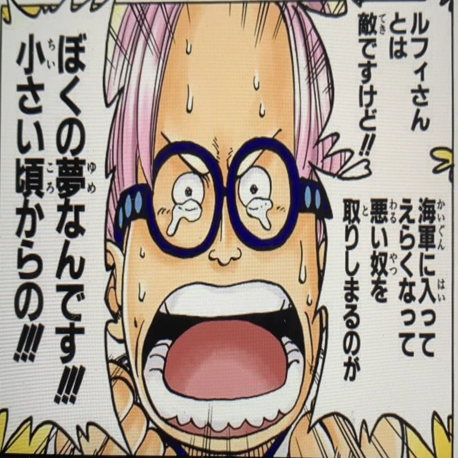 ONE PIECE×コーチング〜①コーチングって何？？〜｜山野 礁太 ライター 