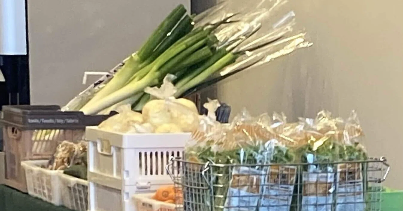 野菜詰め放題のコツをAIチャットで聞いてみる｜Qa_ii