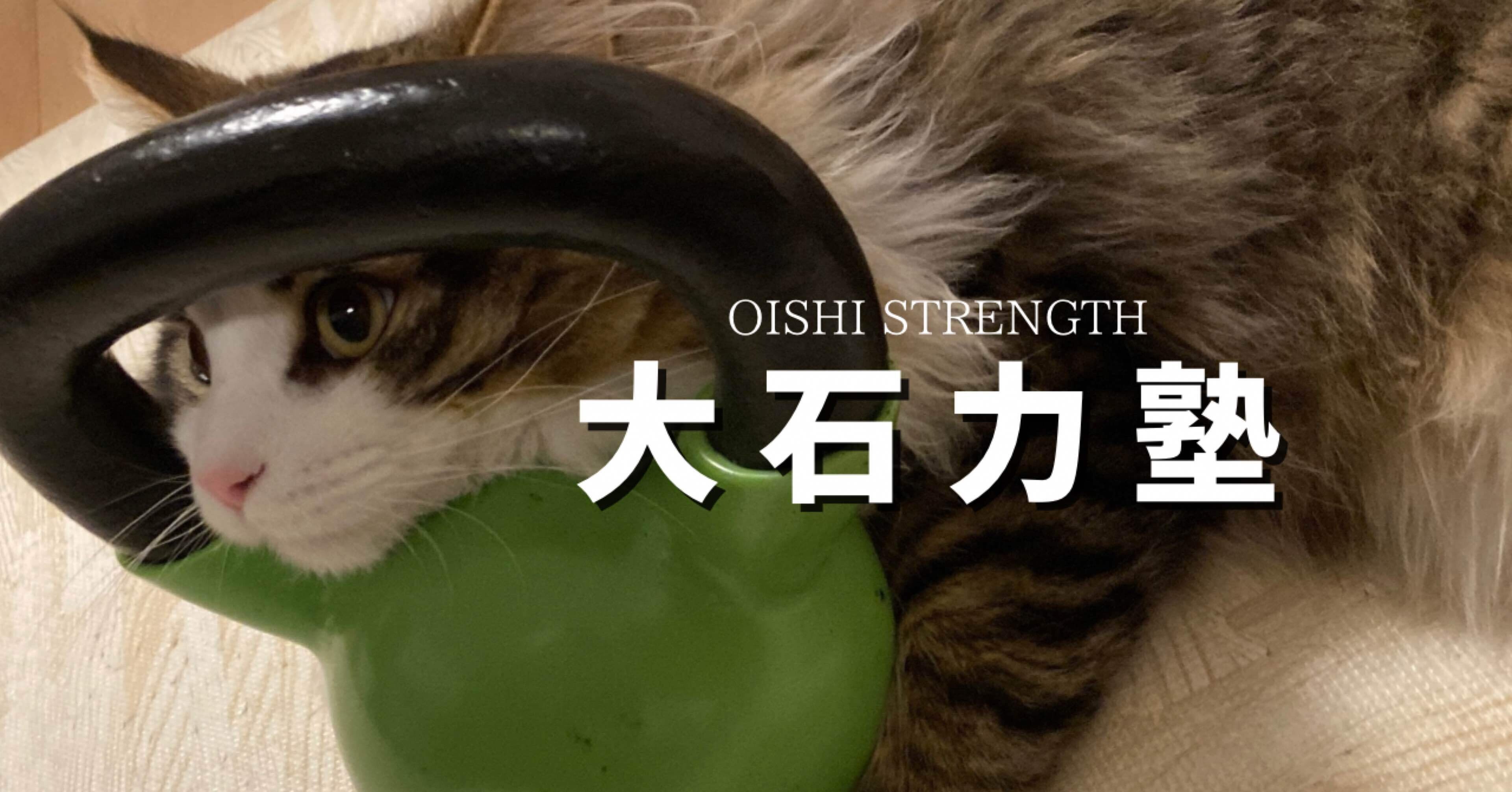 初心者向け】パワーリフティング試合デビューのために必要な道具の紹介