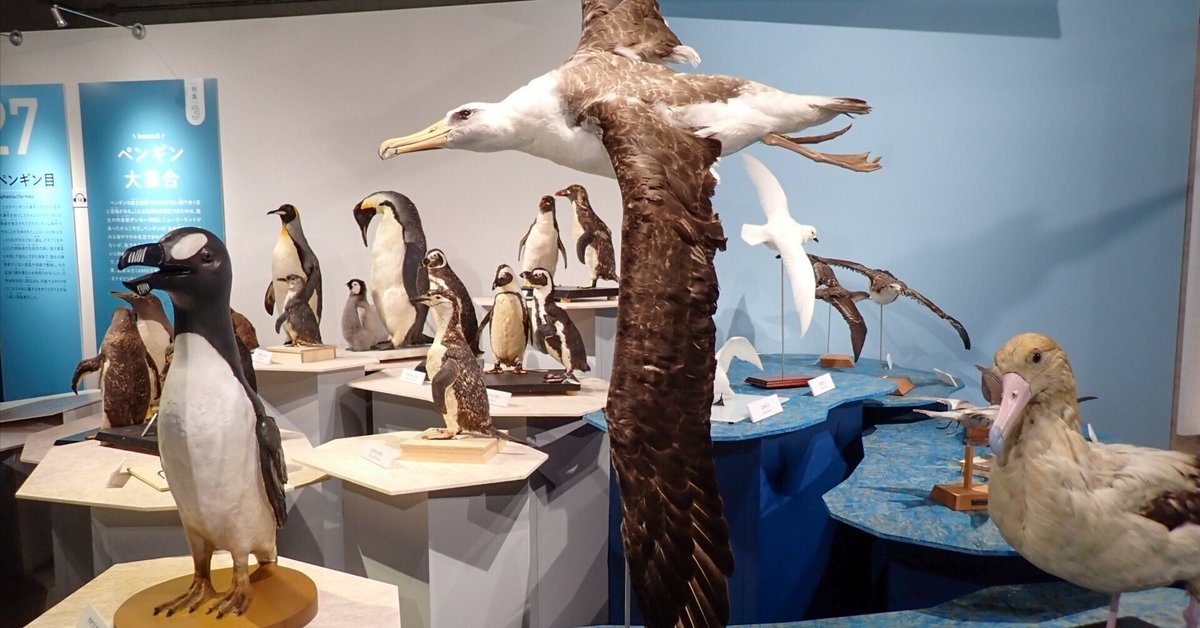 20241122：国立科学博物館「鳥」展いってきたよ｜uporeke