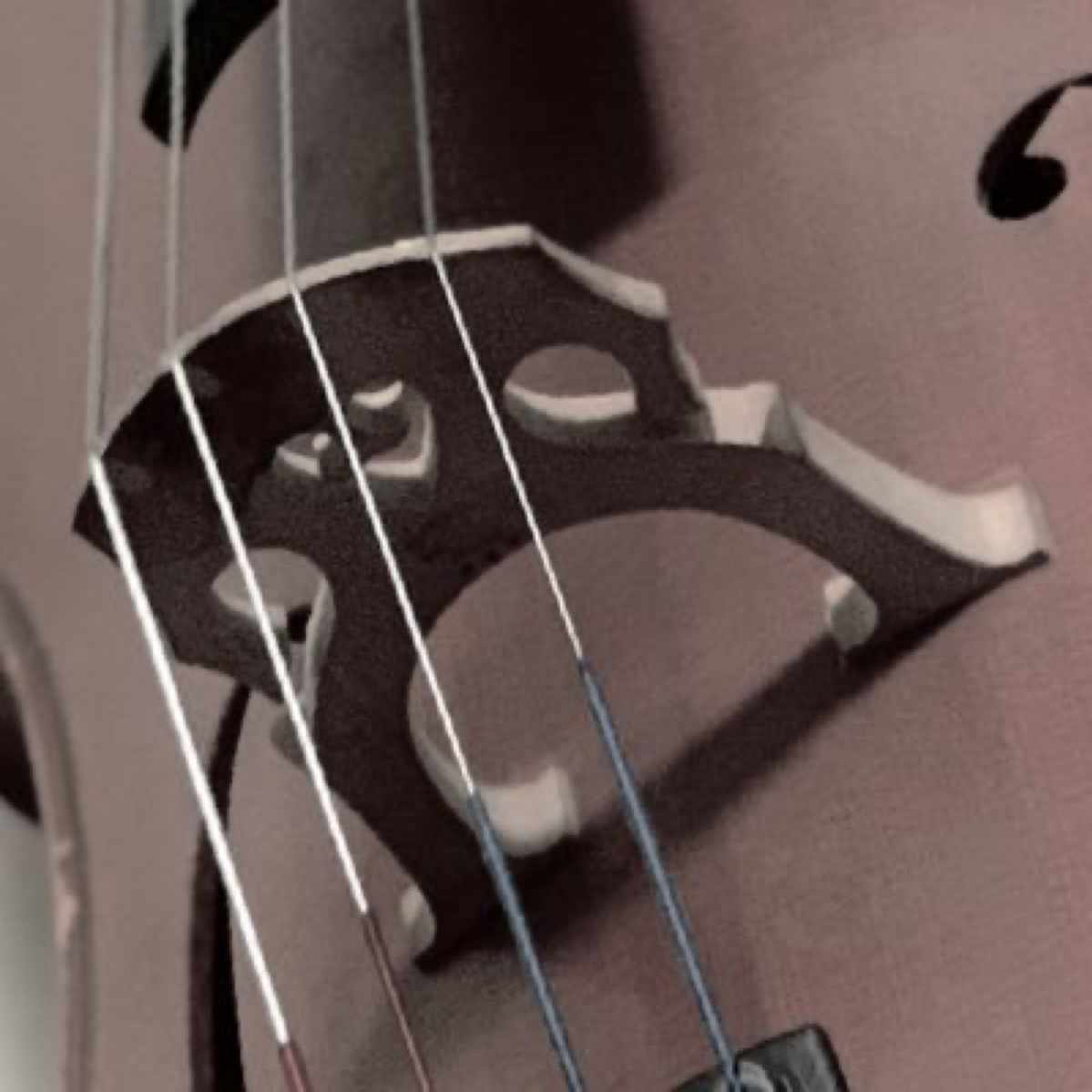 ここをキャンプ地とする。