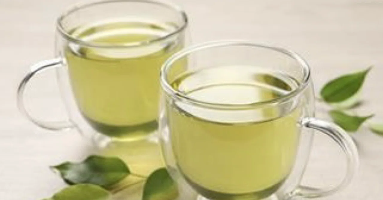 最新｜緑茶はがん治療に新たな希望をもたらす